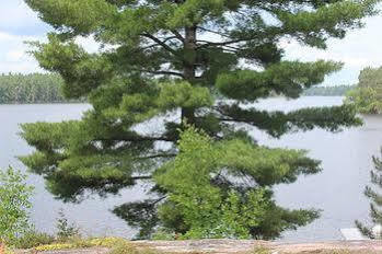 Mashkinonje Lodge Lavigne Luaran gambar